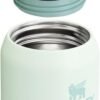 STANLEY All Day Slim Bottle 20-34 OZ | Twist off Lid with Leakproof Seal | Slim Design for Travel & Gym | Insulated Stainless Steel | BPA-Free - Image 2