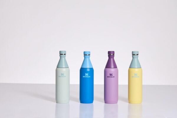 STANLEY All Day Slim Bottle 20-34 OZ | Twist off Lid with Leakproof Seal | Slim Design for Travel & Gym | Insulated Stainless Steel | BPA-Free - Image 5
