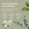 Refresh Deodorant Wipes - A Fresh Start When You’re On the Go - Aluminum, Paraben, and Sulfate Free - Variety Pack (Tea Tree, Eucalyptus, Jasmine) - 50 Individually Wrapped Wipes - Image 4