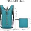 Foldable Lightweight Travel Backpack Packable Hiking Backpack for Women and Men Black Waterproof Small Backpack Mini Camping Back Pack for Beach Gym Outdoor Sport Running Travel Essentials - Image 2