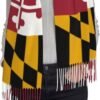 Scarfs for Women Warm Shawl with Tassels Long Wraps Blanket Scarves For Winter Fall - Image 6
