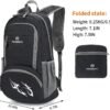35L Lightweight Foldable Waterproof Packable Travel Small Hiking Backpack Daypack for men women - Image 2