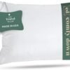 Goose Down Travel Pillow - Filled with 800 Fill Power European Goose Down, Egyptian 300 Thread Count 100% Cotton Cover for Plane car & Home - Made in USA (12x16)