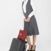 BlueHills Premium Soft Travel Blanket Pillow Airplane Blanket Packed in Soft Bag Pillowcase with Hand Luggage Belt and Backpack Clip, Compact Pack Large Blanket for Any Travel (Red T001) - Image 5