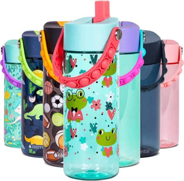 Elemental Leak Proof Water Bottles for Kids - Splash Kids Water Bottle for School with Fun Fidget Pop-it Handle - BPA Free Tritan Plastic Reusable Water Bottle with Straw - Fancy Frog - 18oz