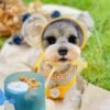 PAWGETHER® Dog Water Bottle with Poop Bag Food Container Shoulder Stap, Built in Bowl No Spill Portable Dog Travel Water Bottle Dispenser (450mL for Water 150mL for Food, Grey) - Image 9