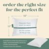 Goose Down Travel Pillow - Filled with 800 Fill Power European Goose Down, Egyptian 300 Thread Count 100% Cotton Cover for Plane car & Home - Made in USA (12x16) - Image 2