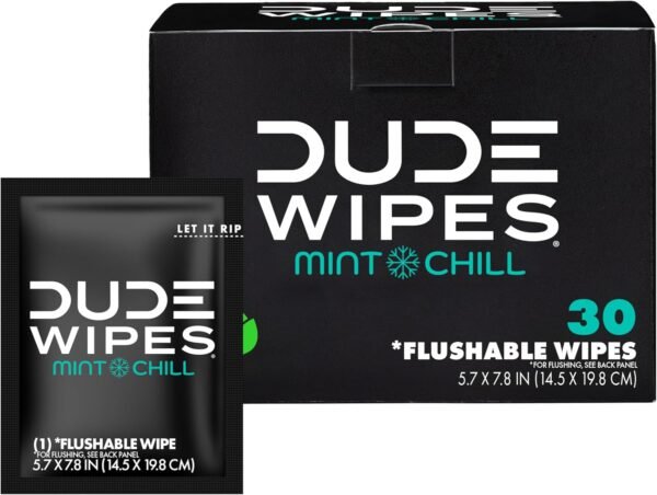 DUDE Wipes - On-The-Go Flushable Wipes - 1 Pack, 30 Wipes - Mint Chill Extra-Large Individually Wrapped Adult Wet Wipes - Eucalyptus & Tea Tree Oil - Septic and Sewer Safe