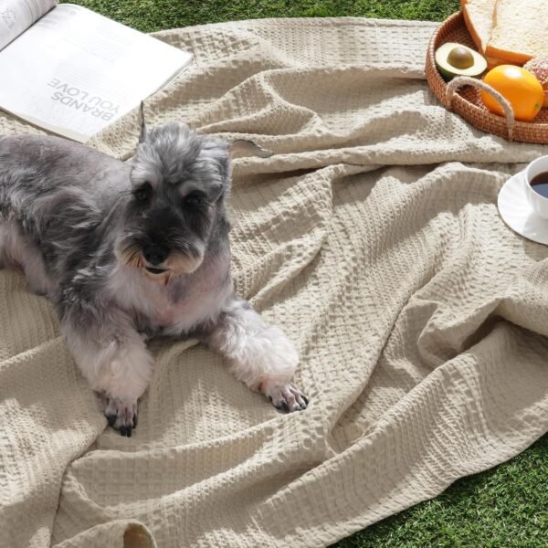 David's Home Cozy Waffle Weave Blanket Twin Size, Ultra Soft Breathable Lightweight Skin-Friendly Throw for Summer, Elegant Room Decor for Couch Bed Sofa Car Travel, Natural - Image 7