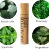 Calm Essential Oil Roller & Eucalyptus Peppermint Essential Oil, Essential Oil Blends, Breathe Essential Oil Blend, Aromatherapy Self Care Products for Women by Soulistic Root - Image 5