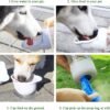 3 in 1 Pet Water Bottle, Outdoor Portable Dog Water Bottle with Food Container Garbage Bags Dispenser, for Cat Puppy Pets Stuff Essentials Accessories, for Walking Hiking Travel (White) - Image 3