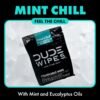 DUDE Wipes - On-The-Go Flushable Wipes - 1 Pack, 30 Wipes - Mint Chill Extra-Large Individually Wrapped Adult Wet Wipes - Eucalyptus & Tea Tree Oil - Septic and Sewer Safe - Image 4