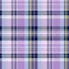 Vera Bradley Women's Fleece Plush Throw Blanket, Amethyst Plaid, 80 X 50 - Image 5