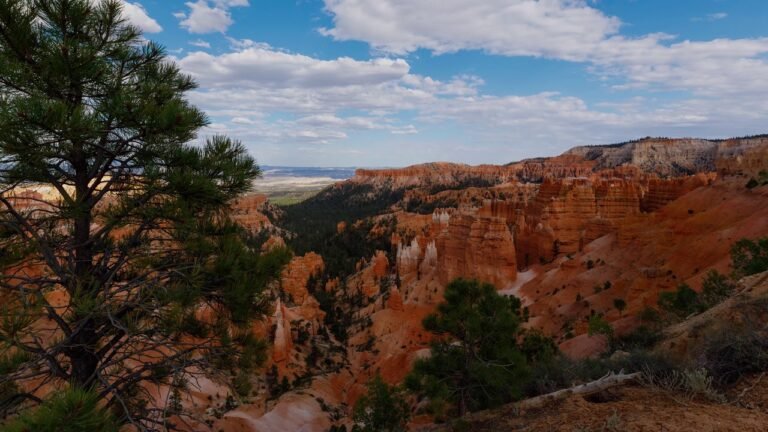 the incredible rock formations at bryce canyon 4K video #Shorts