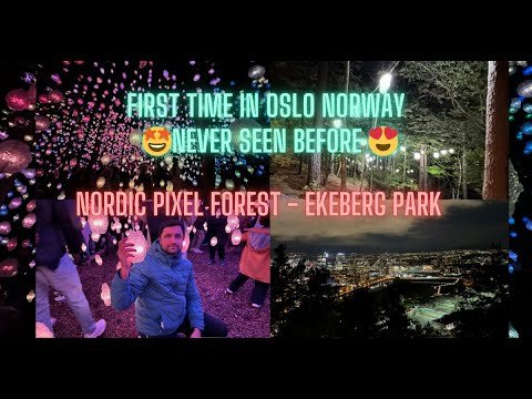 Nordic Pixel Forest by Pipilotti Rist at Ekebergparken Oslo Norway | Fantastic artwork | Must visit